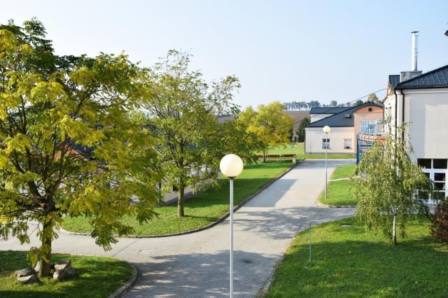 Obrázek
