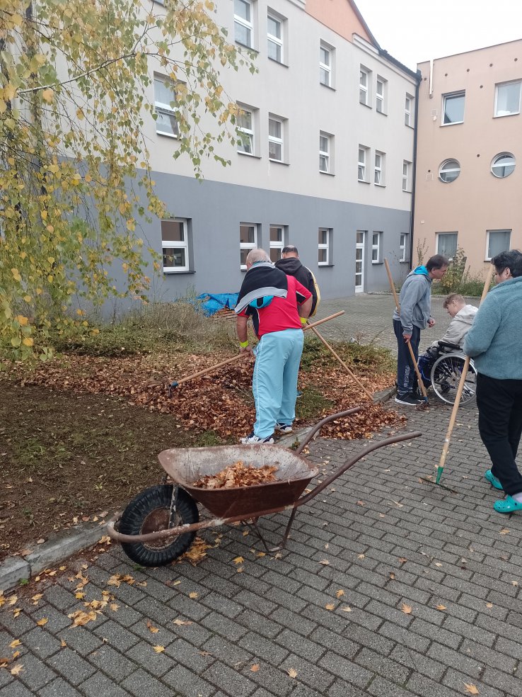 Spadané listí uklízíme každý podzim